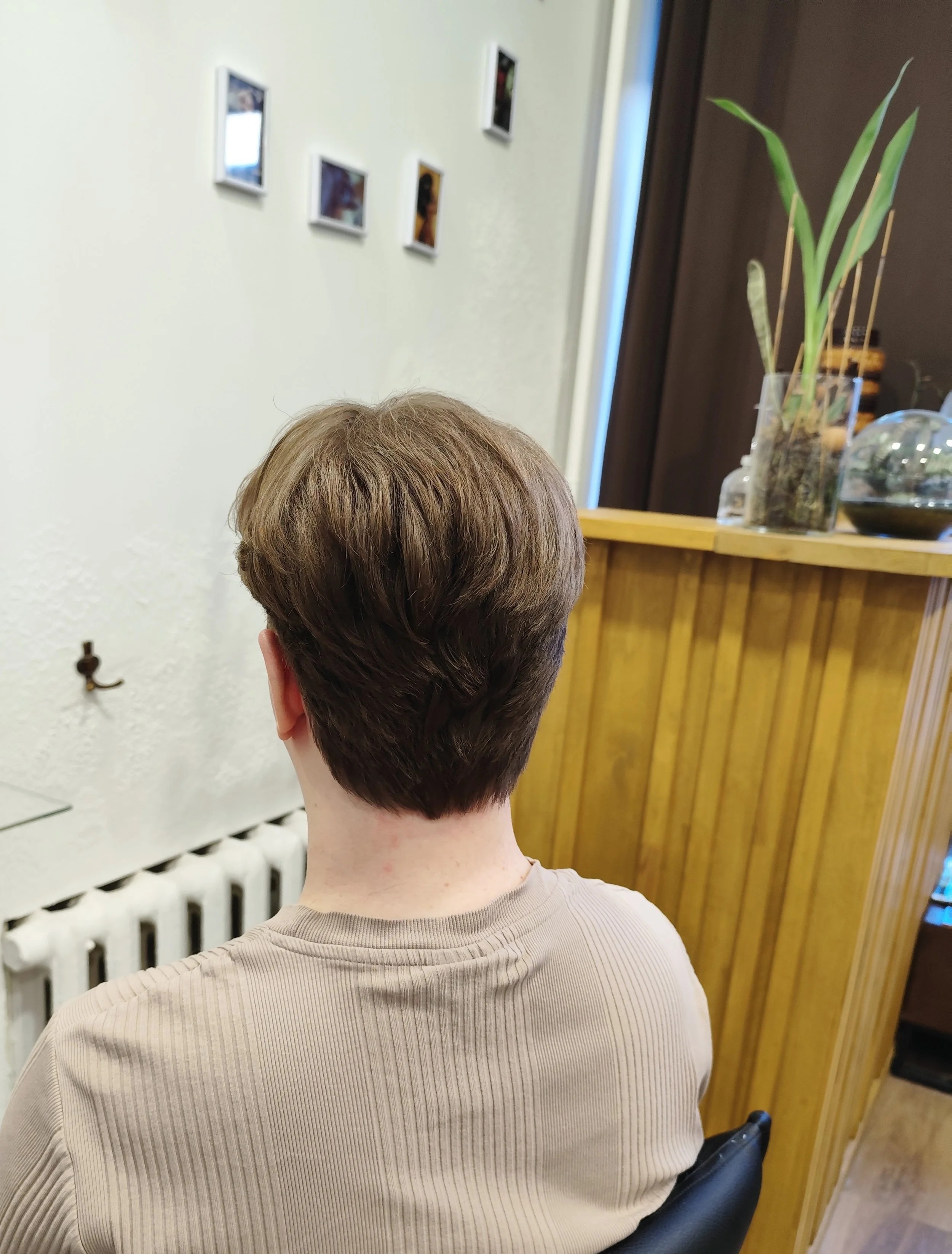 Matu griezums, mazgāšana un veidošana (kungiem)